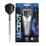 Target Adrian Lewis Steeltip 24gr.