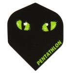 Pentathlon Eyes Cat