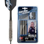 TARGET POWER_Silverligth_Brass_22gr