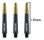 Winmau Vecta_Inter_B&G