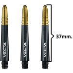 Winmau Vecta_Inter_B&G
